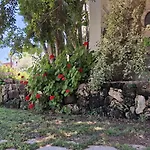 Casa vacanze Levriero1 *