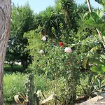 Casa vacanze Levriero1 *