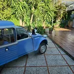 Levriero1 * Carini