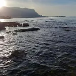 Levriero1 Carini
