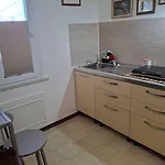 Levriero1 Carini