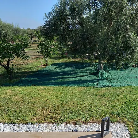 Levriero1 *