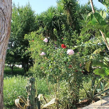 Casa vacanze Levriero1 *