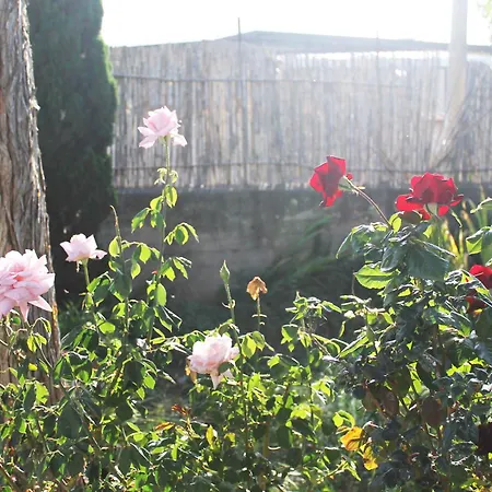 Levriero1 Casa vacanze *