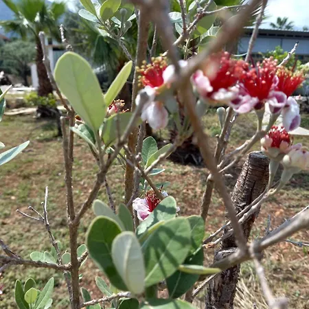 Casa vacanze Levriero1 *