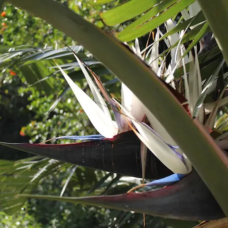 Casa vacanze Levriero1