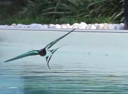 Casa vacanze Levriero1