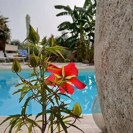 Holiday home Levriero1