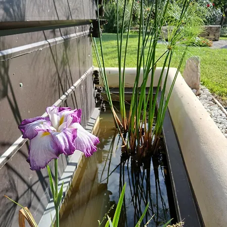 Casa vacanze Levriero1 *