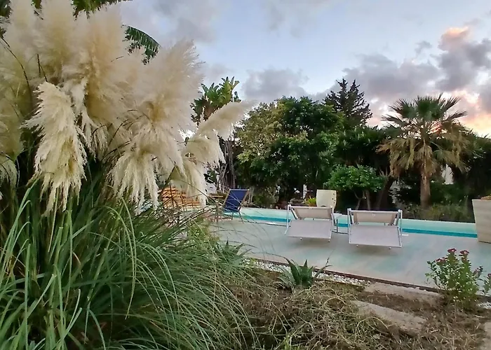 Levriero1